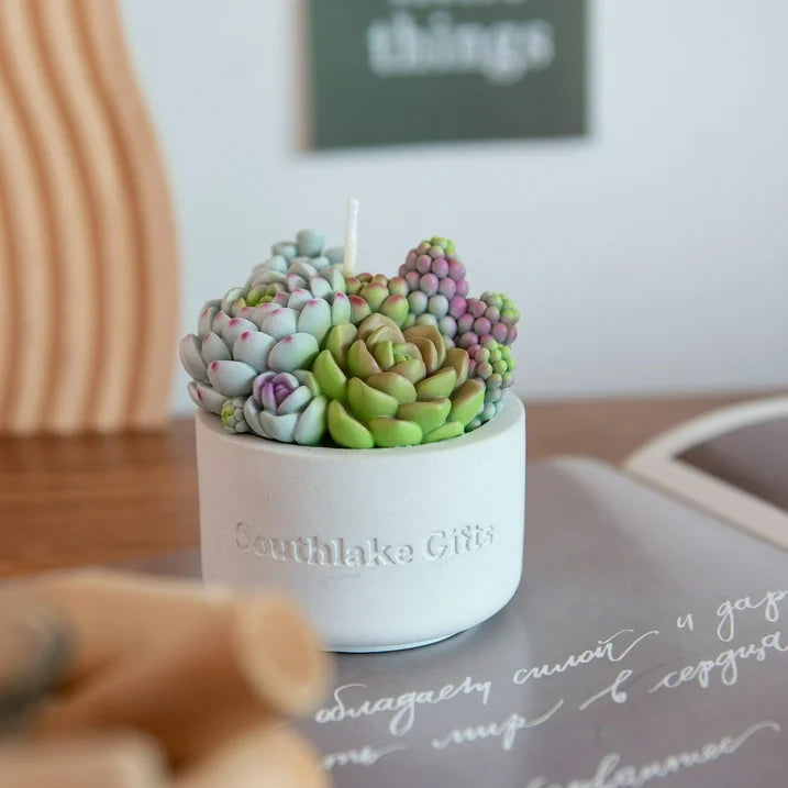 Assorted Succulent Pot Scented Candle
