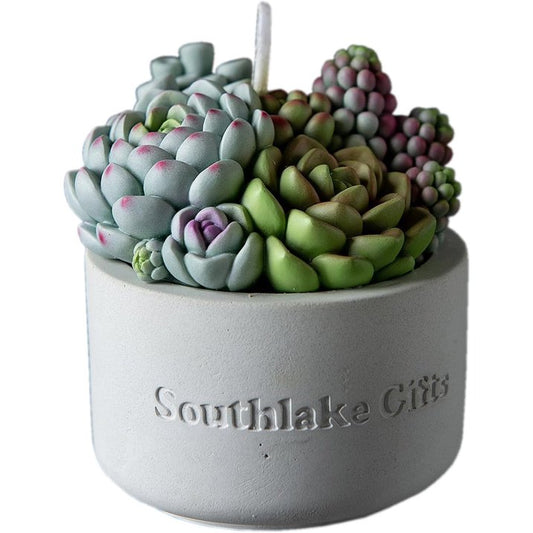 Assorted Succulent Pot Scented Candle