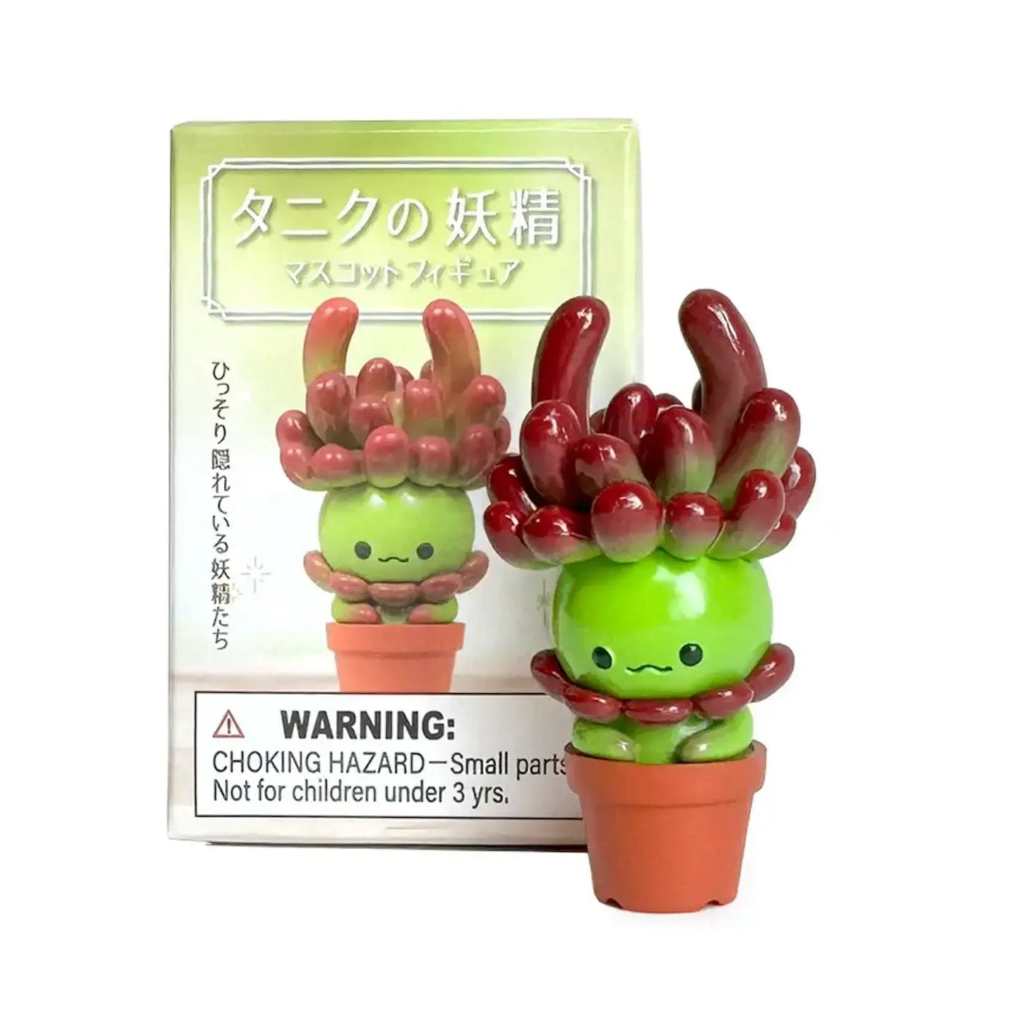 Succulent Friends Blind Box
