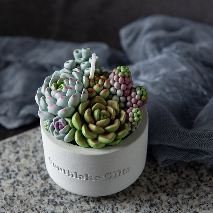 Assorted Succulent Pot Scented Candle