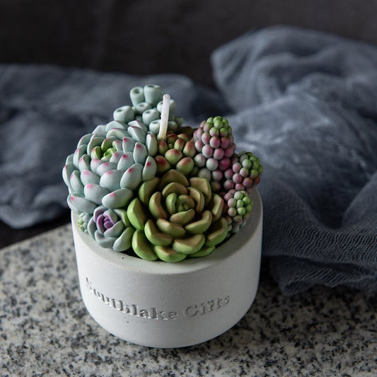 Assorted Succulent Pot Scented Candle