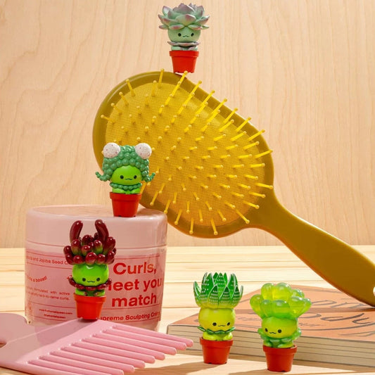 Succulent Friends Blind Box