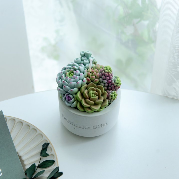 Assorted Succulent Pot Scented Candle