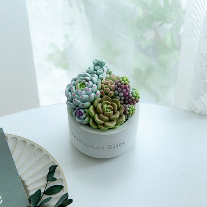 Assorted Succulent Pot Scented Candle