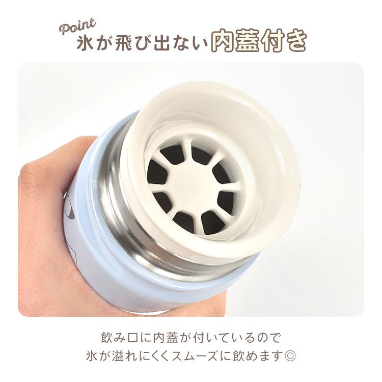 Pokemon Stainless Bottle