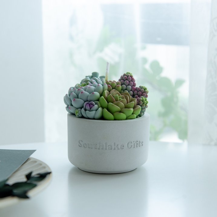 Assorted Succulent Pot Scented Candle