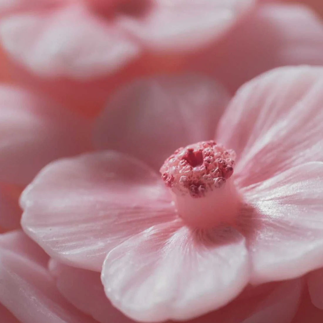Cherry Blossom Sakura Petal Floral Candle