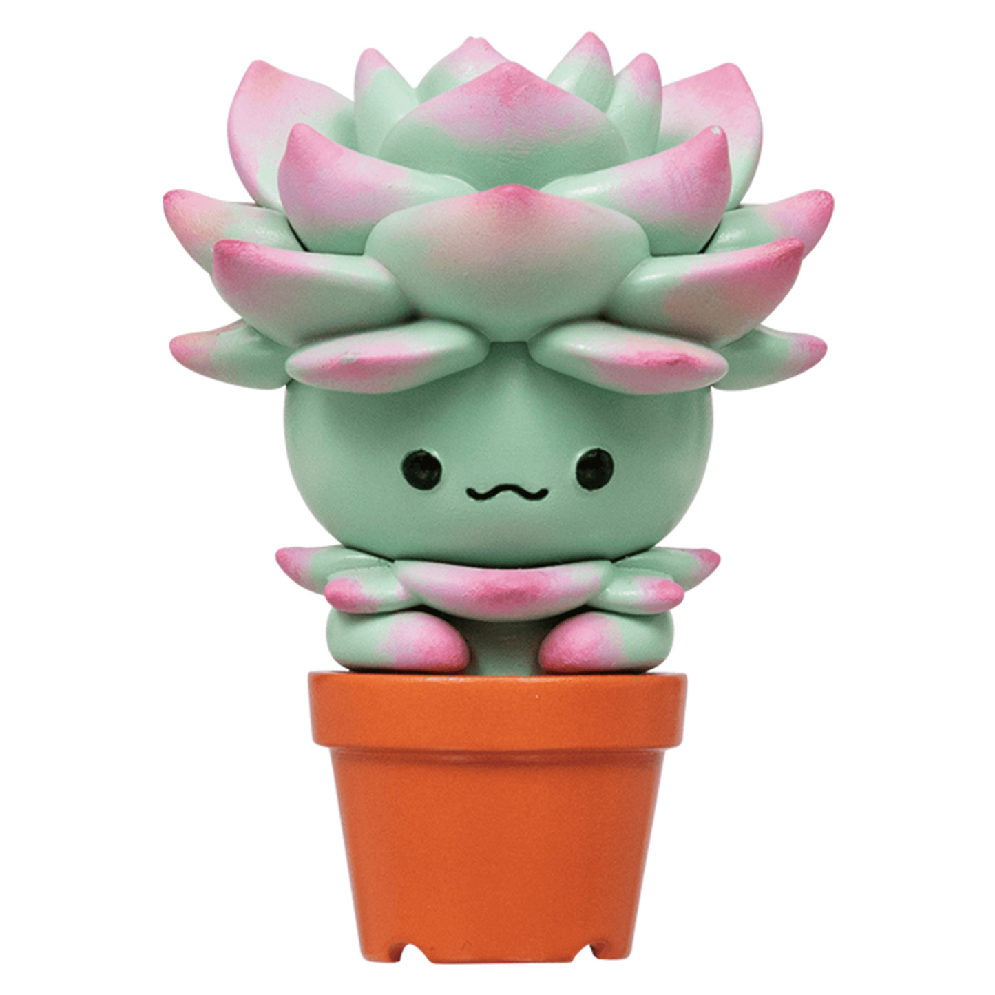 Succulent Friends Blind Box