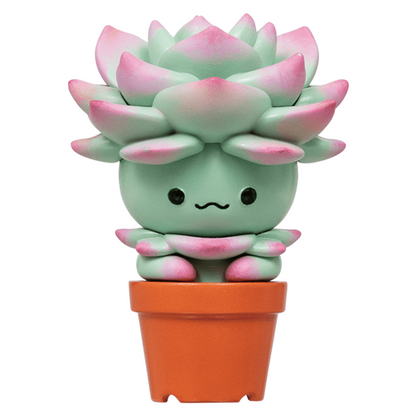Succulent Friends Blind Box