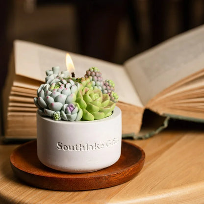 Assorted Succulent Pot Scented Candle