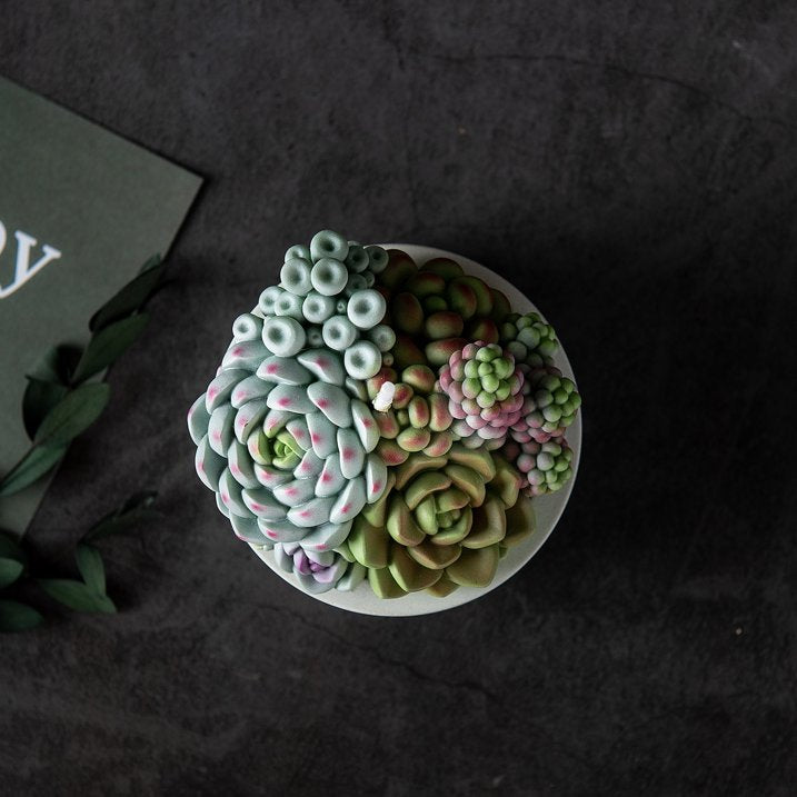 Assorted Succulent Pot Scented Candle