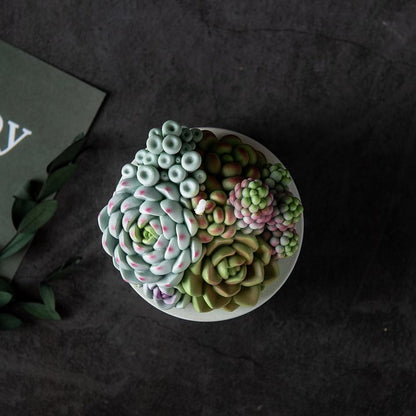 Assorted Succulent Pot Scented Candle