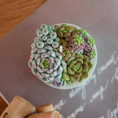 Assorted Succulent Pot Scented Candle