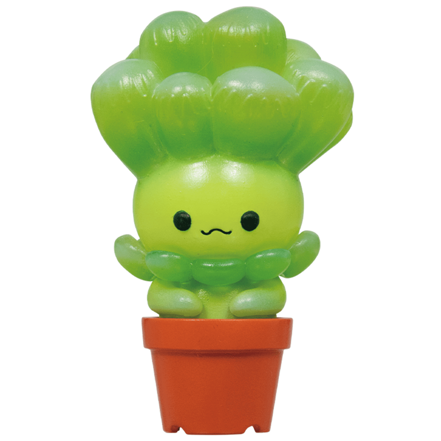 Succulent Friends Blind Box