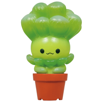 Succulent Friends Blind Box