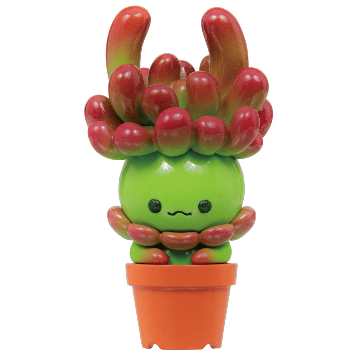Succulent Friends Blind Box
