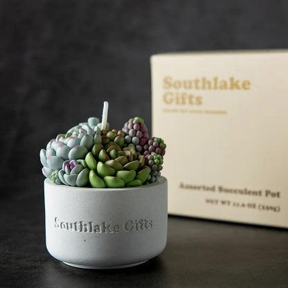 Assorted Succulent Pot Scented Candle