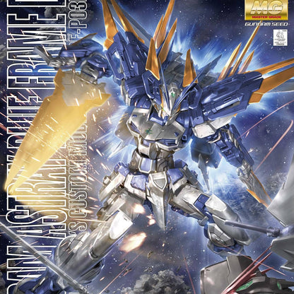 1/100 MG Gundam Astray Blue Frame D